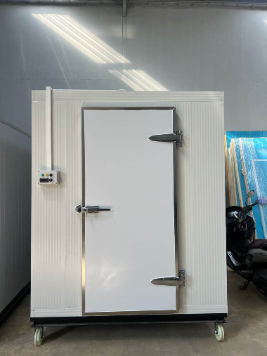 WhatsApp Image 2025 05 15 at 17.04.17 2